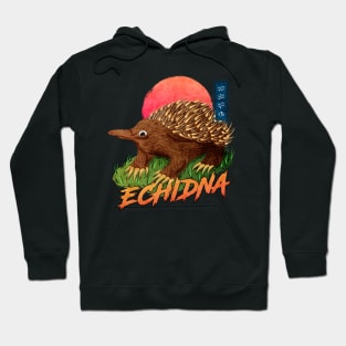 Echidna - Black Hoodie